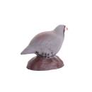 IBB 3D Rock Partridge - Hen