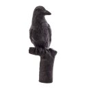 IBB 3D Raven Crow