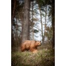 CENTER-POINT 3D Brown Bear