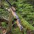 JACKALOPE - Obsidian Hunter - 60 inch - 20-50 lbs - Take Down Recurve Bow