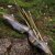 JACKALOPE - Tourmaline Hunter - 60 inch - 20-50 lbs - Take Down Recurve Bow