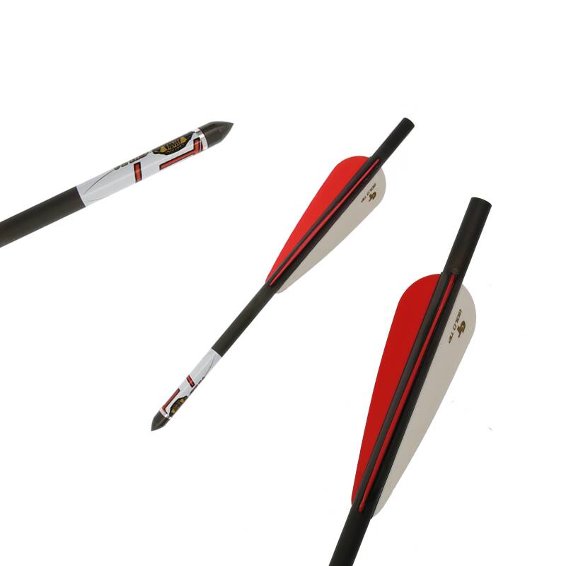 Carbon Bolts | FX AIRGUNS - 8.5 inches -  Bolts with 4 inches Vanes for Arrow Rifles