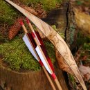 DRAKE ARCHERY ELITE Streak - 62 inches - 20-50 lbs - Hybrid bow