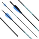 36-40 lbs | [PRICE TIP] Carbon arrow | SPHERE Hunter Pro...