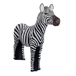 ASEN SPORTS Zebra [Spedition]