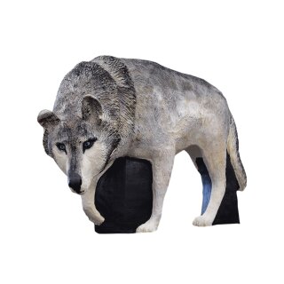 ASEN SPORTS Wolf - white [Forwarding Agent]