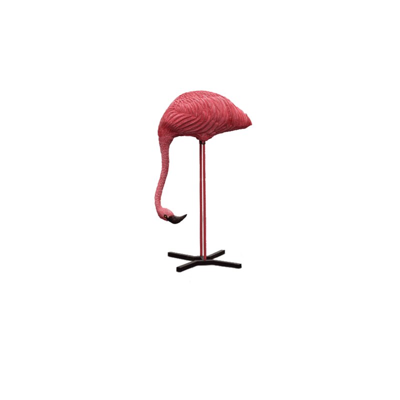 ASEN SPORTS Flamingo - fressend