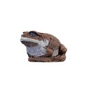 ASEN SPORTS Toad