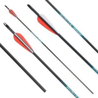 41-55 lbs | Carbon arrow | SPHERE Hunter Pro - with vanes | Spine 400 | 32 inches