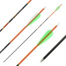 31-35 lbs | Carbon arrow | PyroSPHERE Slim - with Vanes -...