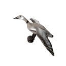 FRANZBOGEN - Flying Grey Goose