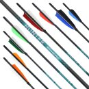 [Value pack] SPHERE Hunter Pro - Carbon arrow