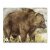 Target Face | Animal - Brown Bear