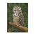 Target Face | Animal - Eagle Owl