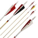 Complete arrow | BSW Special Series - D/A/CH - Wood