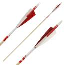 Complete arrow | BSW Special Series - D/A/CH - Wood