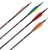 Complete arrow | SKYLON Empros - 3K Carbon - factory fletched - Pack of 6