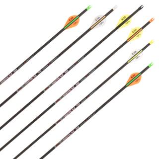 Complete arrow | SKYLON Quantic - 3K Carbon - factory fletched - Pack of 6