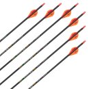 Complete Arrow | SKYLON Edge - Carbon - Factory fletched - Pack of 12