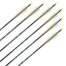 Complete arrow | SKYLON Frontier - Carbon - factory fletched - Pack of 6