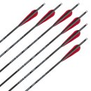 Complete arrow | SKYLON Frontier - Carbon - factory fletched - Pack of 12