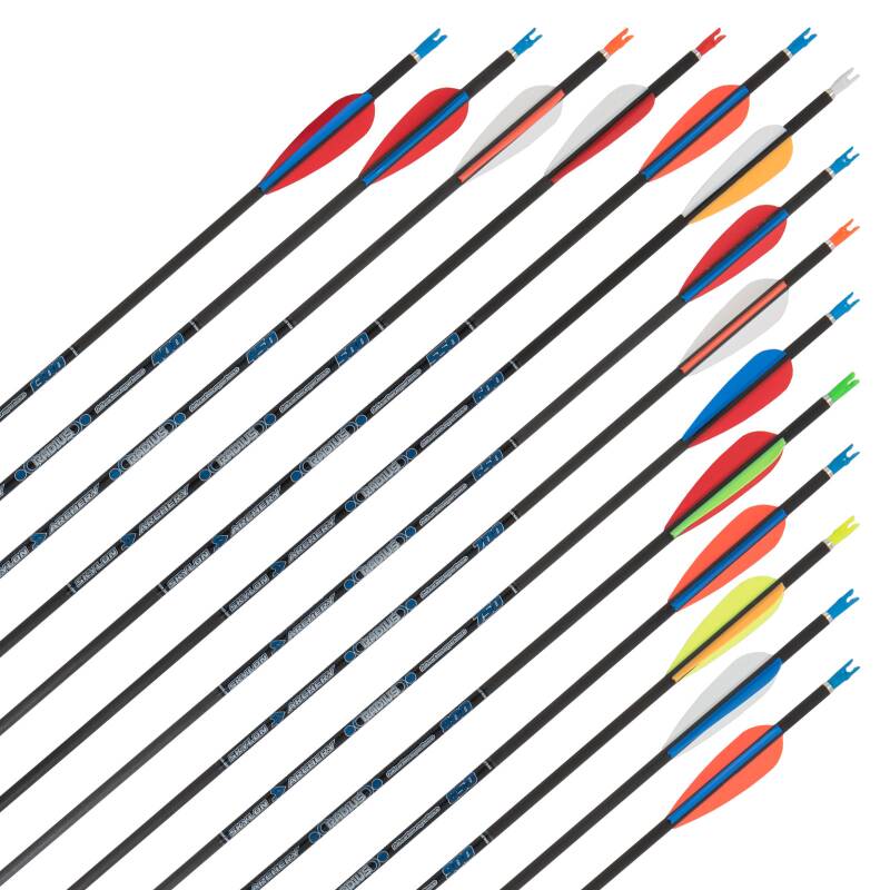 Komplettpfeil | SKYLON Radius - Carbon - ab Werk befiedert - 6er Pack