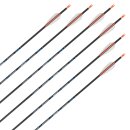 Complete arrow | SKYLON Radius - Carbon - factory fletched - Pack of 6