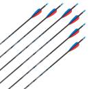 Complete arrow | SKYLON Radius - Carbon - factory fletched - Pack of 12