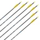 Complete arrow | SKYLON Radius - Carbon - factory fletched - Pack of 12