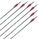 Complete arrow | SKYLON Radius - Carbon - factory fletched - Pack of 12