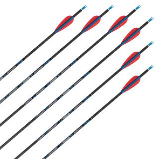 Complete arrow | SKYLON Radius - Carbon - factory fletched - Pack of 12 | Spine 400