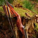 DRAKE ARCHERY ELITE Ablaze - 60 inches - 30-50 lbs - Take...