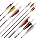 Complete arrow | BSW Special Series - D/A/CH - Carbon