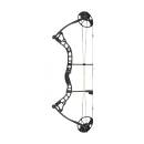2023 DIAMOND Compoundbogen Infinite 305 (7-70lbs)