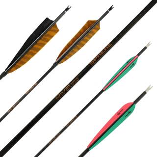 Complete arrow | SPHERE Rival - Carbon - Spine 500