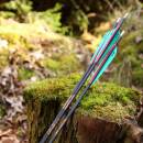 Complete arrow | SPHERE Rival - Carbon - Spine 500