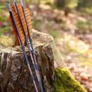 Complete arrow | SPHERE Rival - Carbon - Spine 500