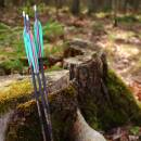 Complete arrow | SPHERE Rival - Carbon - Spine 500