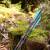 Complete arrow | SPHERE Rival - Carbon - Spine 500