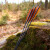 Complete arrow | SPHERE Rival - Carbon - Spine 500
