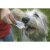 BASICNATURE squeeze tubes for dogs