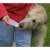 BASICNATURE squeeze tubes for dogs