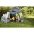 COLEMAN Aspen L - Tent - various sizes