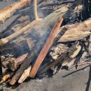 ORIGIN OUTDOORS Fatwood Maya Stick - Anzünder