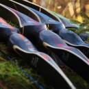 SPIDERBOWS Cloud - 64 - 20-50 lbs - Hybrid bow