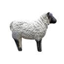 CENTER-POINT 3D Sheep