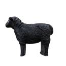 CENTER-POINT 3D Sheep