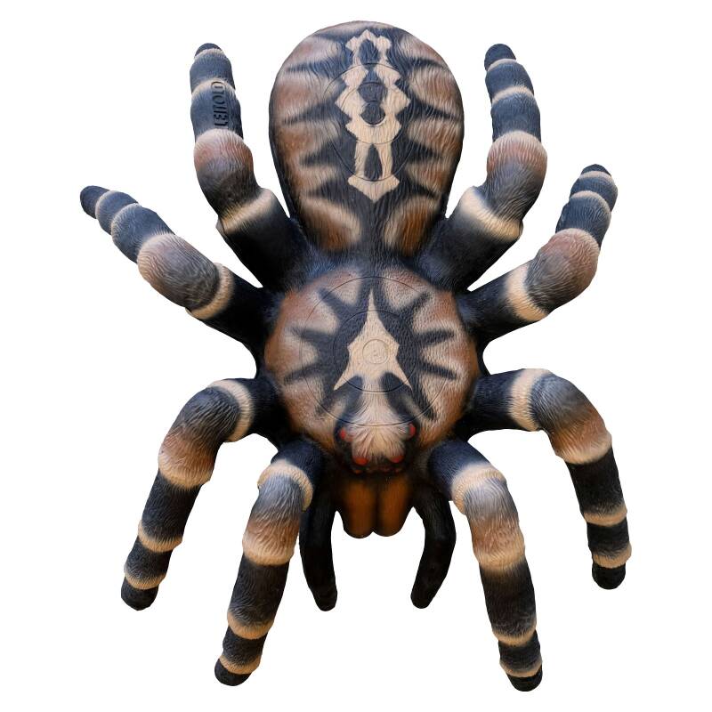 LEITOLD Vogelspinne[***]