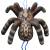 LEITOLD Little Tarantula