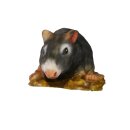 InForm 3D Ratte